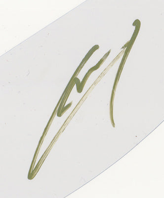 FWSA00294