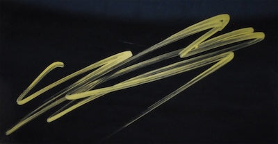 FWSA01782