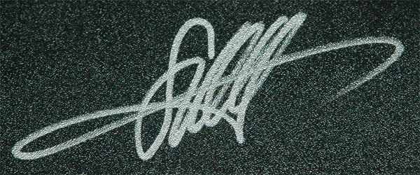 ミニチャンプスRed Bull Racing 1:18 ベッテル直筆サイン入り❗️ Sebastian Vettel Signed Minichamps 1/18 2011 Japan GP F1 Model